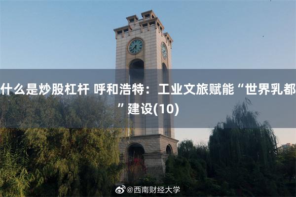 什么是炒股杠杆 呼和浩特：工业文旅赋能“世界乳都”建设(10)