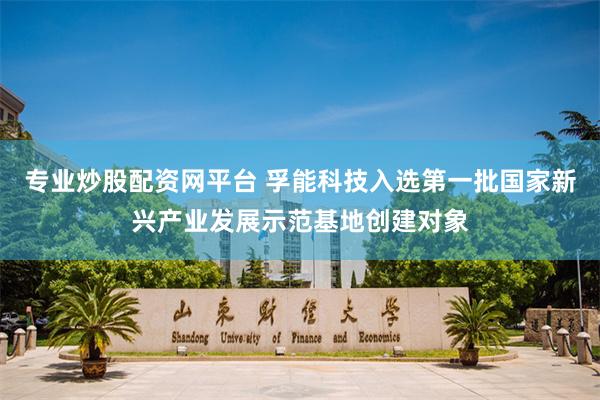 专业炒股配资网平台 孚能科技入选第一批国家新兴产业发展示范基地创建对象