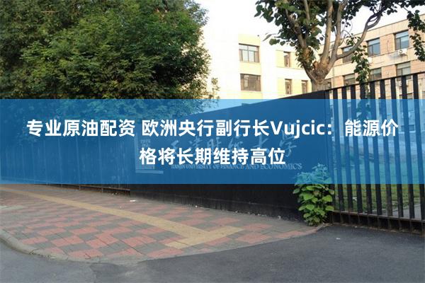 专业原油配资 欧洲央行副行长Vujcic：能源价格将长期维持高位