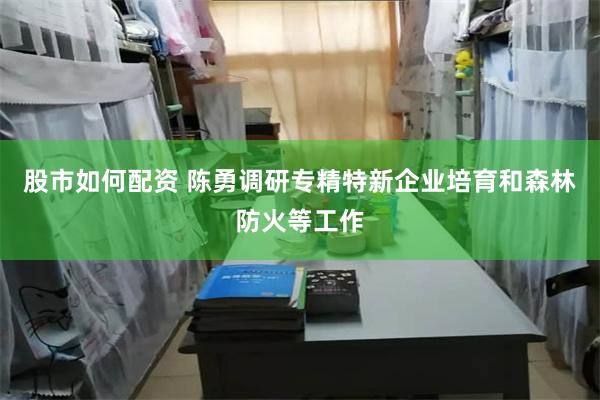 股市如何配资 陈勇调研专精特新企业培育和森林防火等工作
