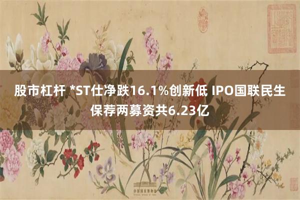 股市杠杆 *ST仕净跌16.1%创新低 IPO国联民生保荐两募资共6.23亿