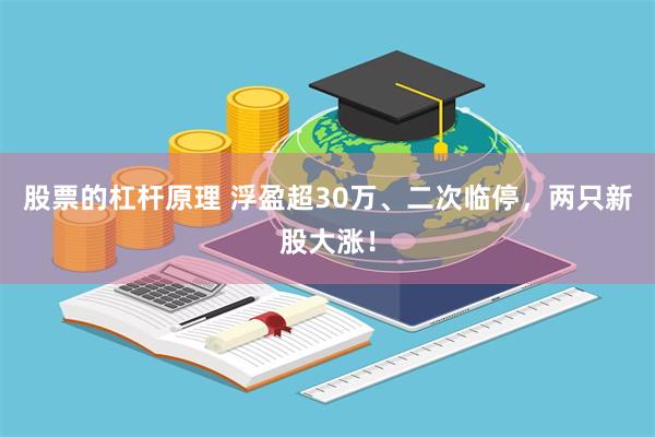 股票的杠杆原理 浮盈超30万、二次临停，两只新股大涨！